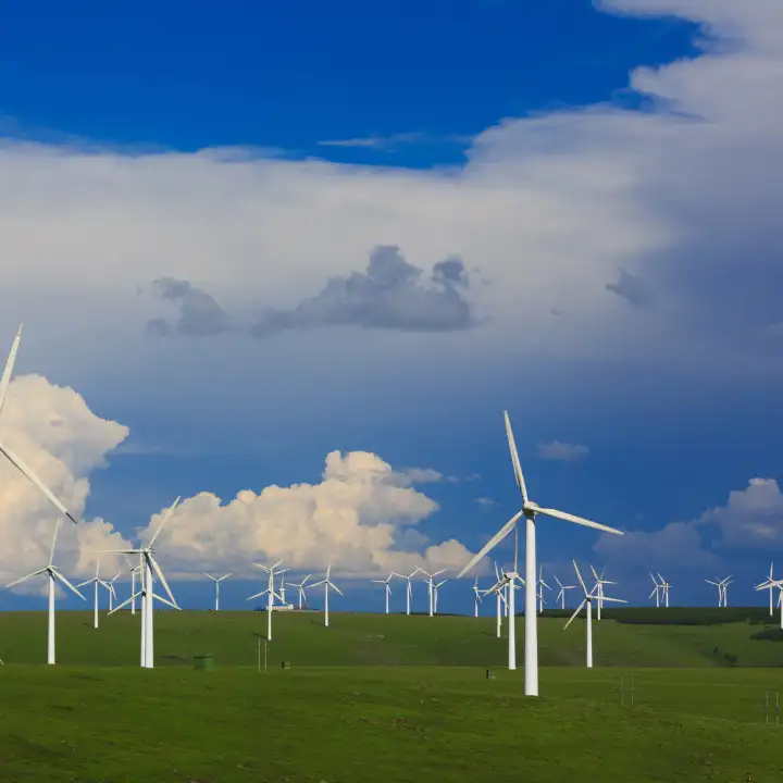 Eine Gruppe Windräder stehen auf einer grünen Wiese vor blauem, leicht bewölktem Himmel.